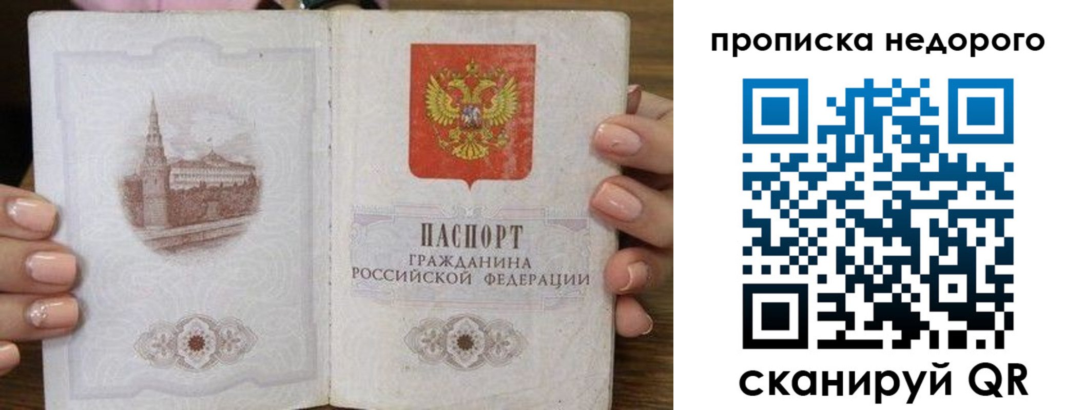 пропишу в квартире в Вязьме